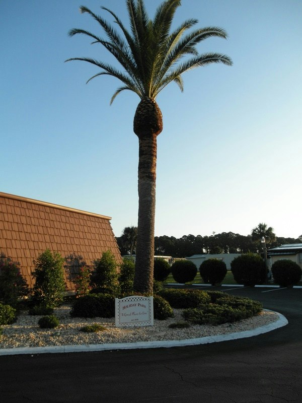 Palm tree and Holiday Park sign outside the Phase I building